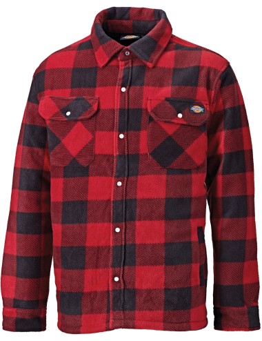 Chemise PORTLAND homme (EX....